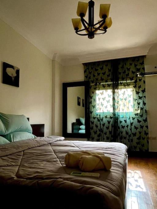 Apartment 3bedroom New *